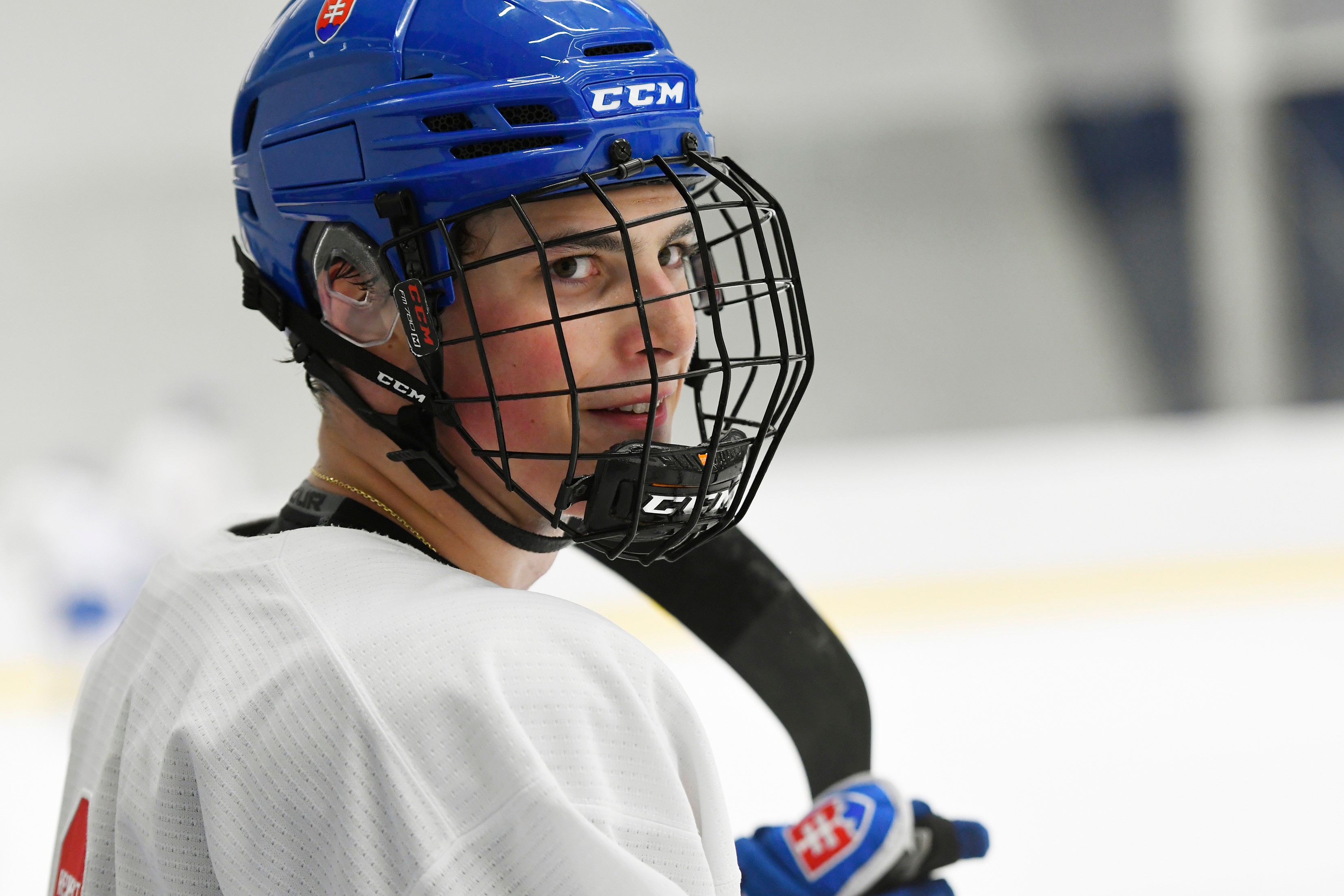 Hokejová reprezentácia